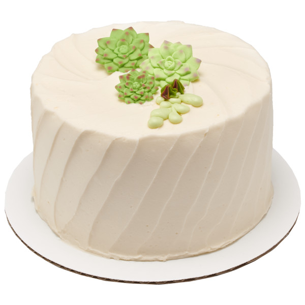 Succulents Sweet Décor® Edible Decorations