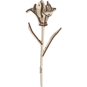 Iris Wooden Flower Model Kit, 22 Pieces