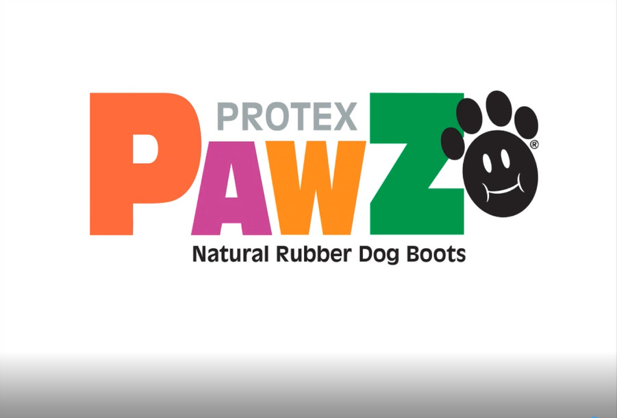 PawZ Rubber Dog Boots and Paw Protectors 12pk x2, Medium Blue Dog