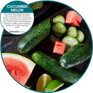 Hillyard, Refresh 2.0, Air Freshener, Cucumber Melon