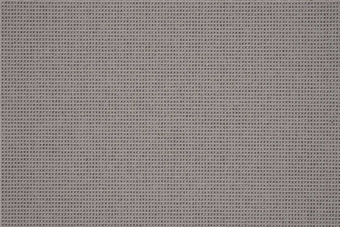 color-rug1