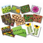 Yellow Door Ladybugs Early Number Card, Pack of 16 YUS1063