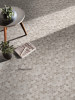 Frio Gray Hexagon Mosaic