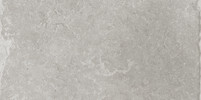 Elba Gray 12×24 Field Tile Matte Rectified