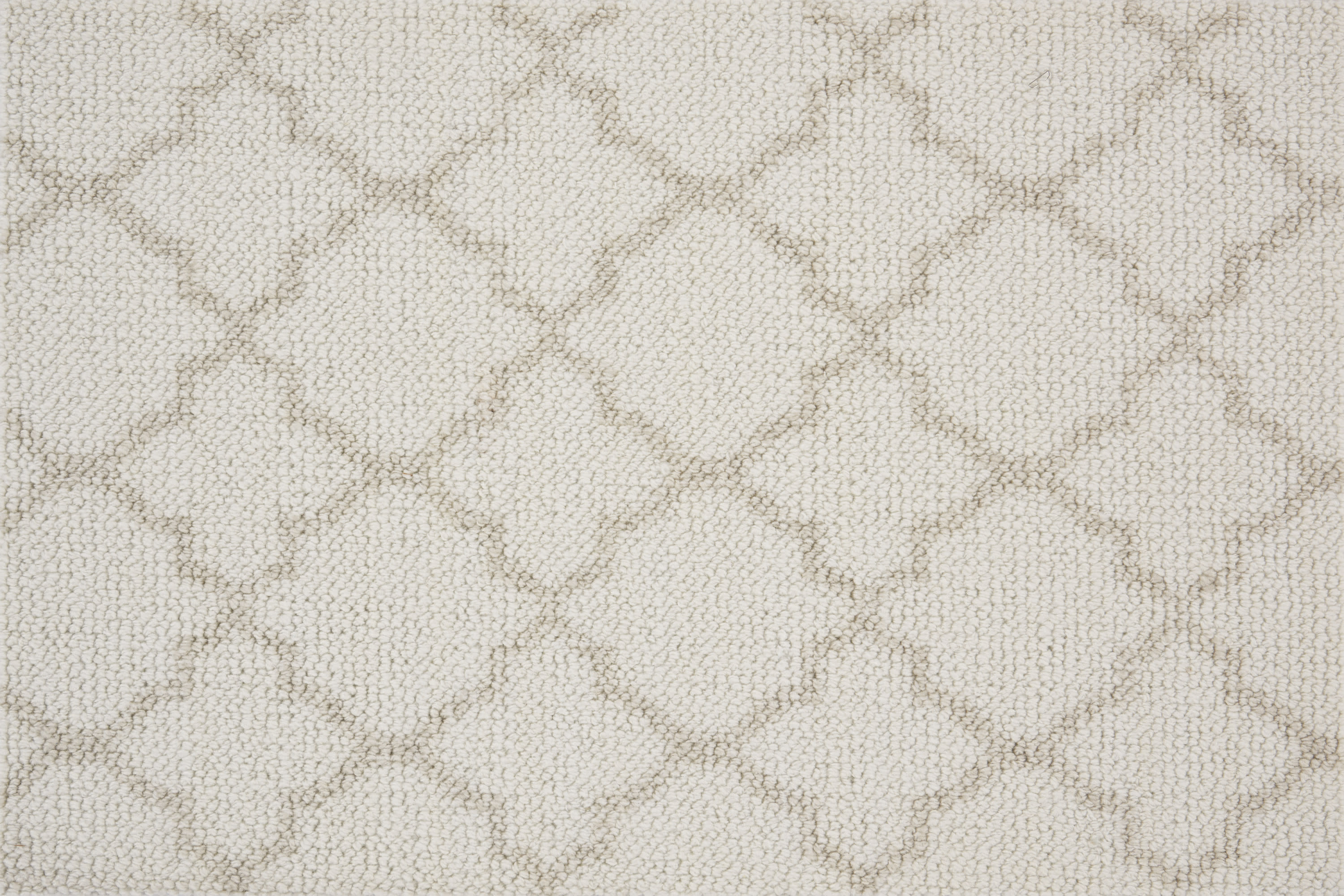 color-rug1