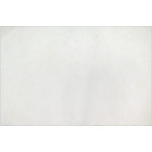 Color Diffusing Paper, 9" x 12", 50 Sheets