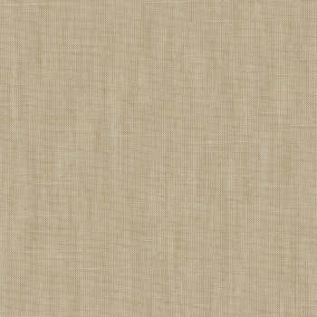 Forecast Forecast-12 Roman Blind