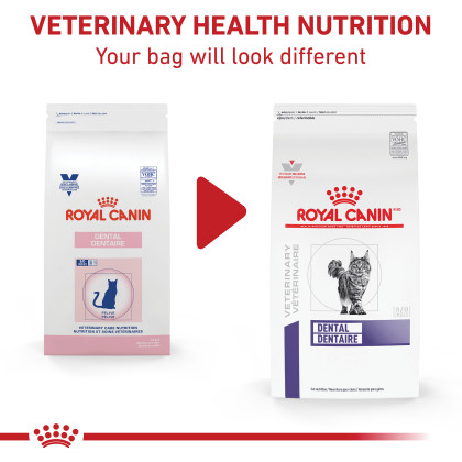 Royal Canin Veterinary Diet Feline Dental Dry Cat Food