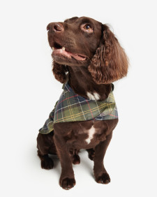 Cappottino per cani pieghevole Tartan 