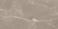Absolute TAUPE 12×24 Field Tile