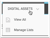 2. Digital Assets Menu