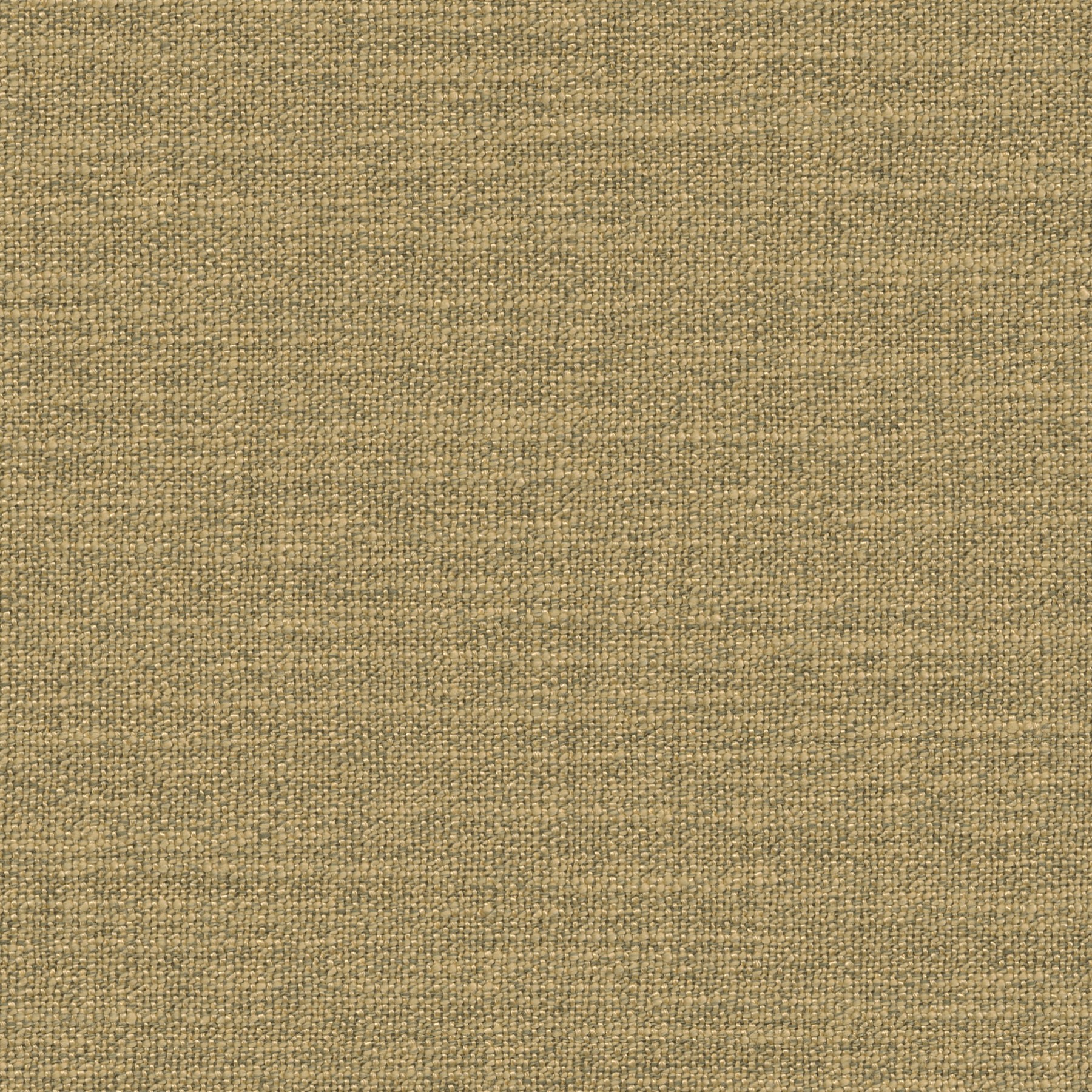 Toulouse 0662 Curtains