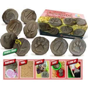 Let's Investigate Farmyard Footprints Stone, Pack of 8