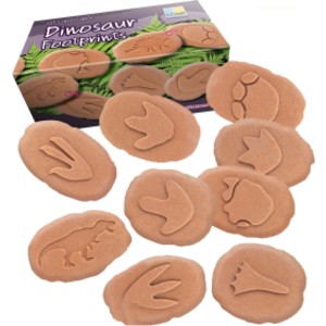 Let's Investigate Dinosaur Footprints
