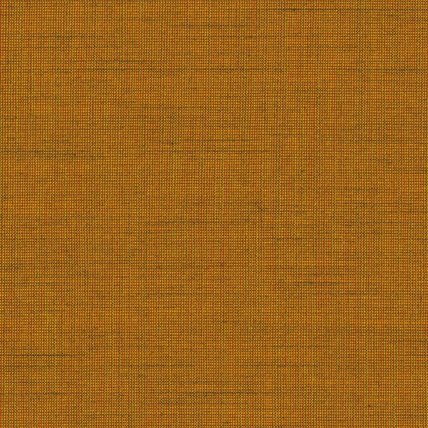Be Be-61 Roman Blind