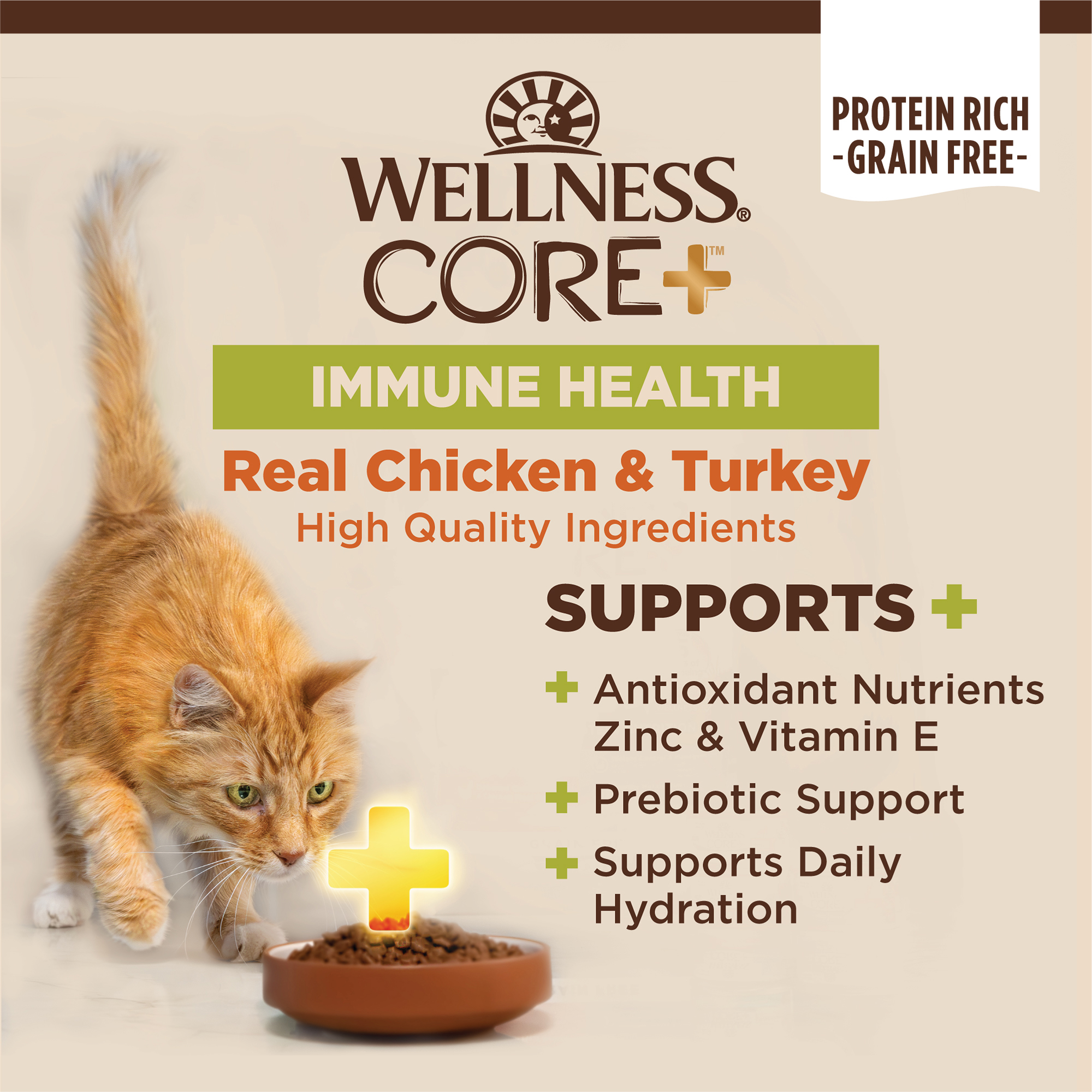 Wellness CORE+ Immune Health Chicken & Turkey