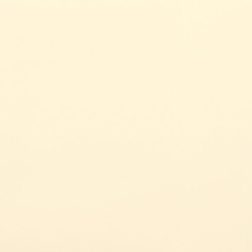 Uniform cream-colored wall filling the frame, unadorned and smooth; exhibiting even, diffused lighting with no windows or furniture visible, creating a minimal, featureless interior surface.