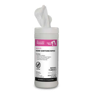 Hillyard, Quick and Clean® Hand Sanitizing Wipes,  70 Wipes/Container