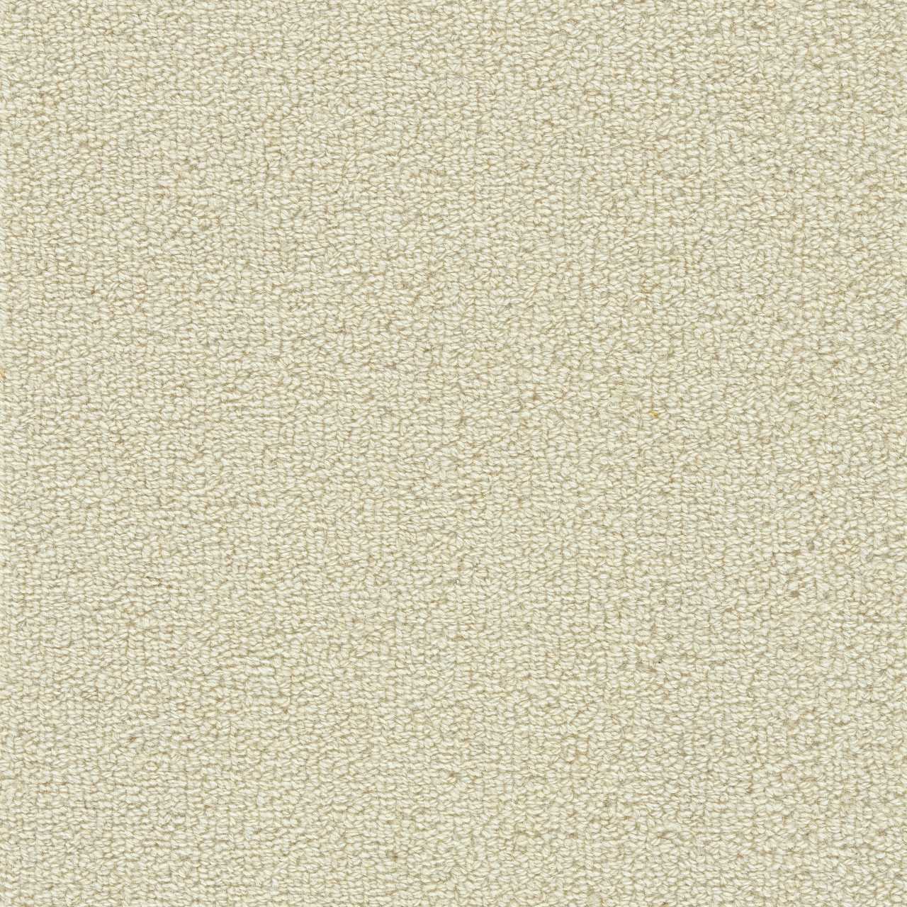 color-rug1
