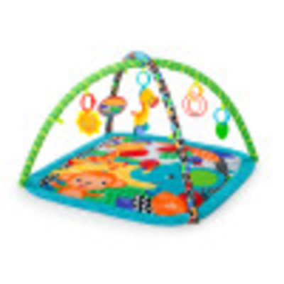 Zippy Zoo&trade; Activity Gym