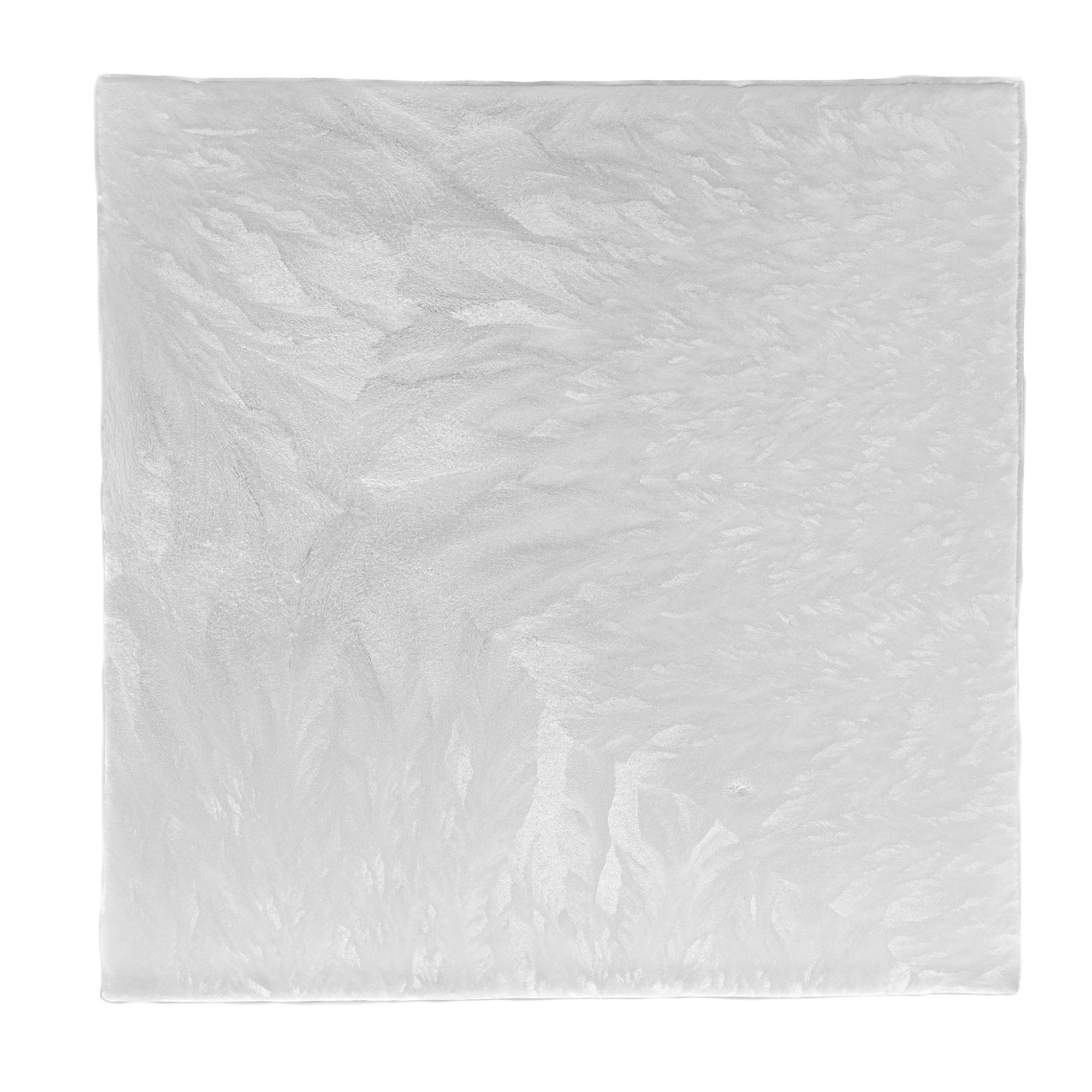 ZeniCOL Ag Silver Collagen Dressing, 4 x 4 Inch