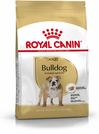 Bulldog Adult