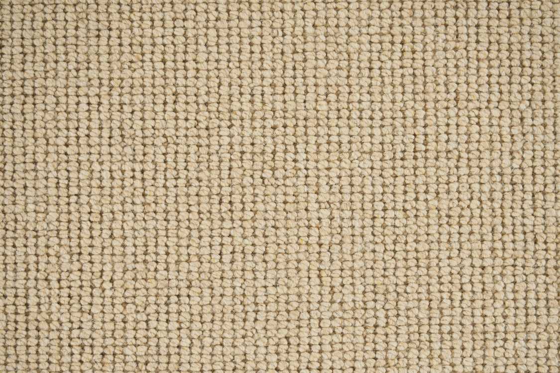 color-rug1