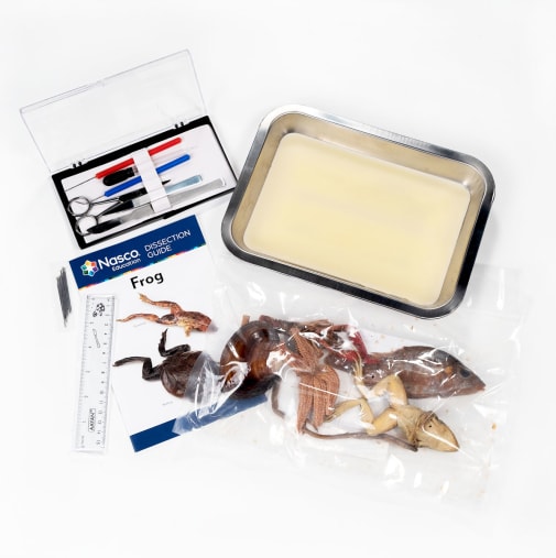 Biology Dissection Kit