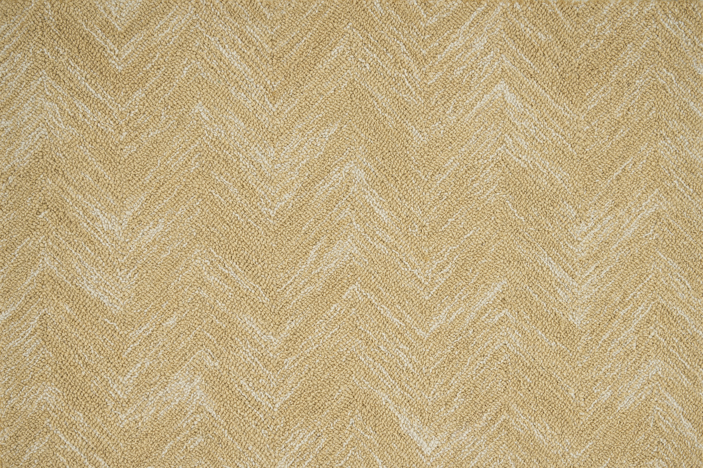 color-rug1