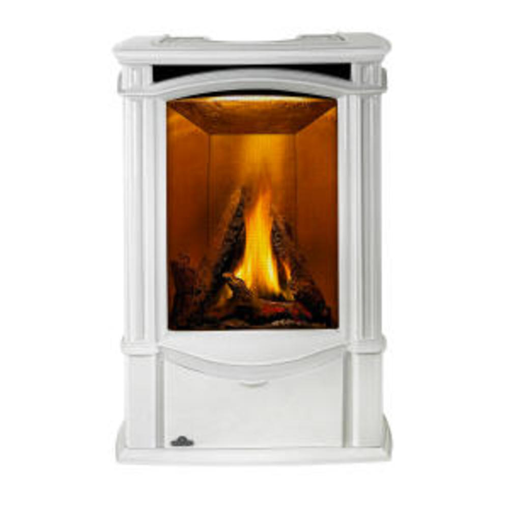 Click to view Castlemore™ Direct Vent Gas Stove
