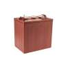 Tennant, Trojan 6V 225 AH C/20 Deep Cycle Wet Battery