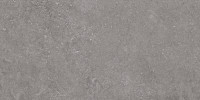 Beljn Canal Gray 24×48 Field Tile Rectified