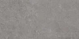 Beljn Canal Gray 24×48 Field Tile Rectified