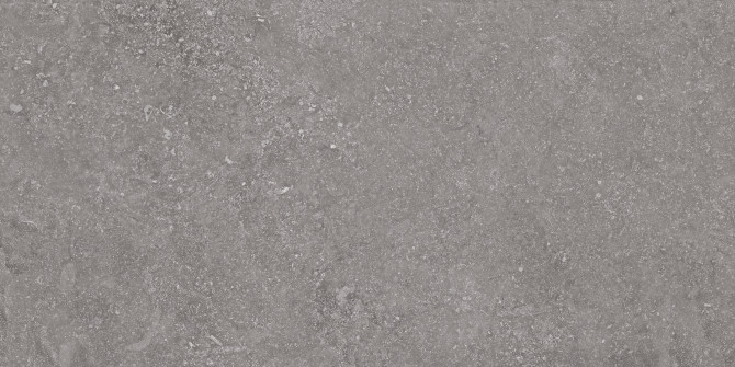Beljn Canal Gray 24×48 Field Tile Rectified