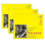 Strathmore 300 Series Newsprint Pad Tape Binding 50 Sheet 14x17  inch Pack of 3