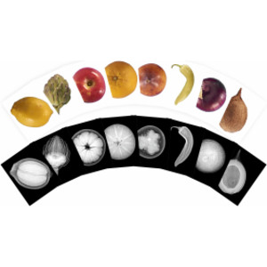Plant X-Rays & Picture Cards, Set of 42