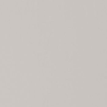 Plain pale gray textured wall filling the frame, displaying subtle fine grain as it uniformly reflects diffuse light, functioning as a neutral, evenly lit backdrop.