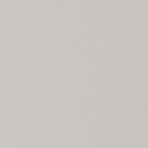 Plain pale gray textured wall filling the frame, displaying subtle fine grain as it uniformly reflects diffuse light, functioning as a neutral, evenly lit backdrop.