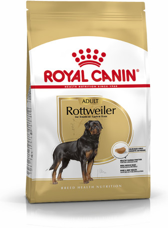 Rottweiler Adult