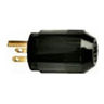 Select Spec™ Straight Blade Plug, 15A, 125V, 2P3W, NEMA 5-15P, Black