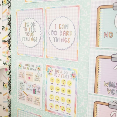 Fadeless Schoolgirl Style Bulletin Board Paper, Sophomore Year, 47.25" x 25', 1 Roll example 2