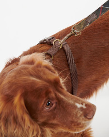 Travel And Exercise Harness Classic Tartan