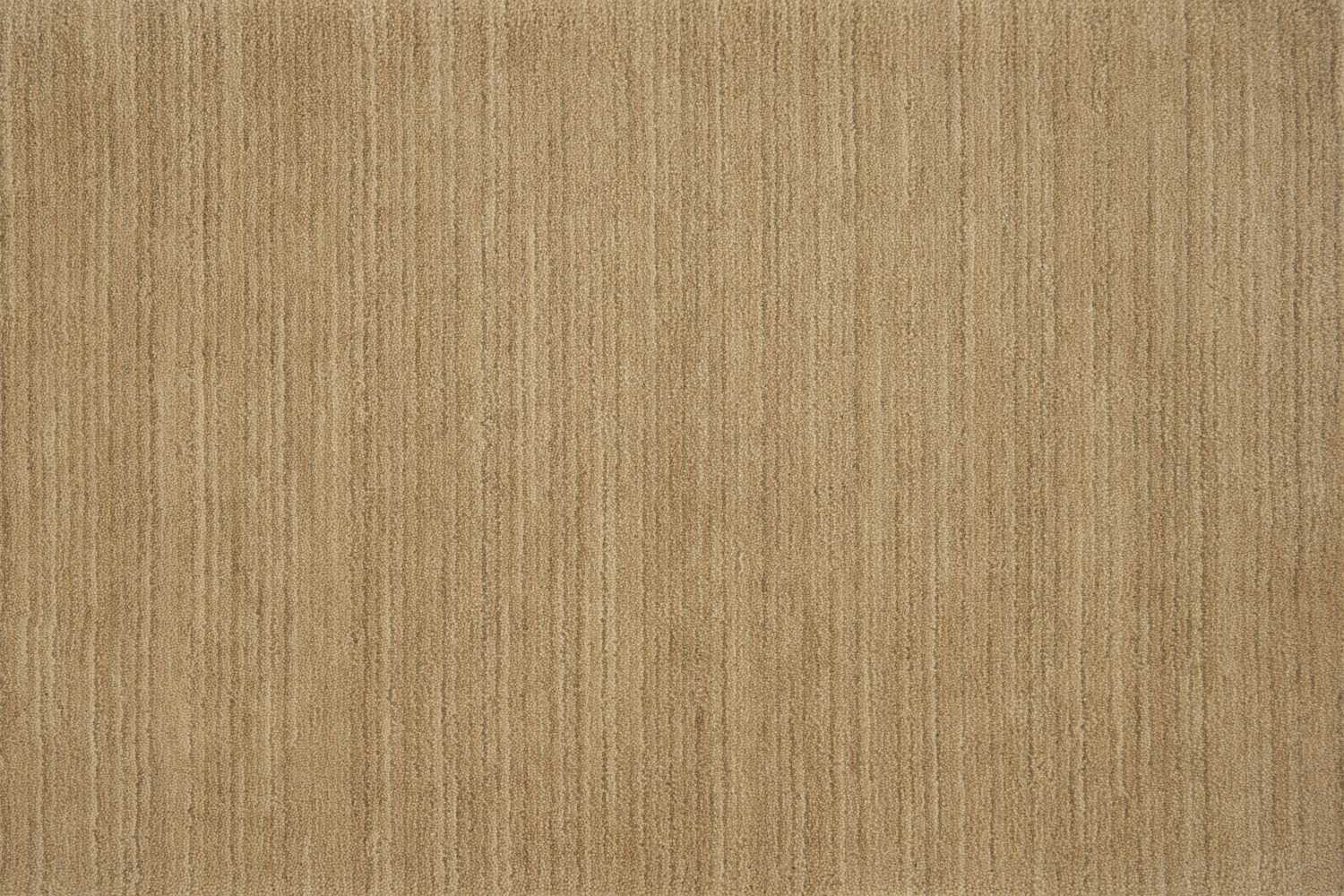 color-rug1
