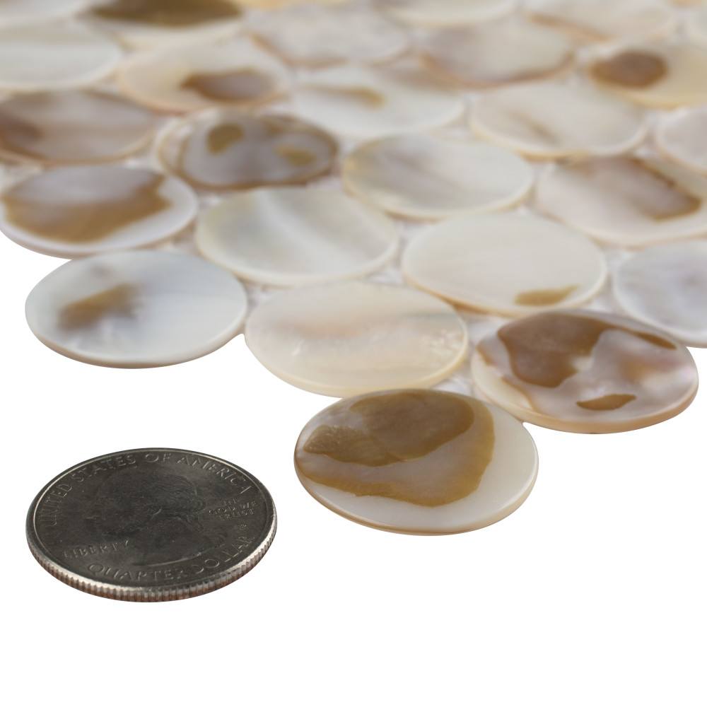 Conchella Penny Natural 11-1/4 in. x 11-5/8 in. Natural Shell Mosaic Tile