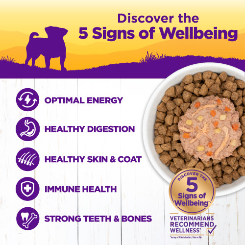 The benifts of Wellness Complete Health Petite Entrées Shredded Medley Braised Lamb, Venison, White Sweet Potatoes & Carrots