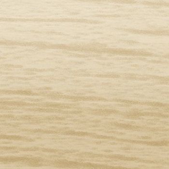 Light beige wood-grain panel with subtle horizontal striations; displaying natural grain pattern across a flat surface; photographed in even, diffuse lighting as a close-up, neutral background.