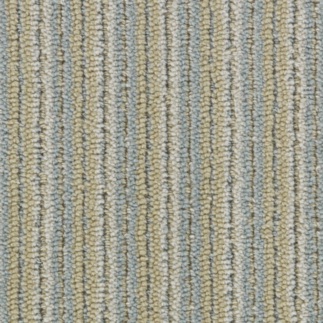 color-rug1