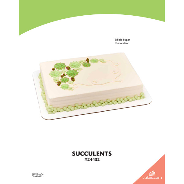 Succulents The Magic of Cakes® Page