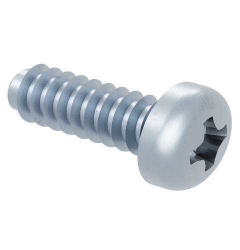 Screw 6-22 H/L Pnt10 .315S