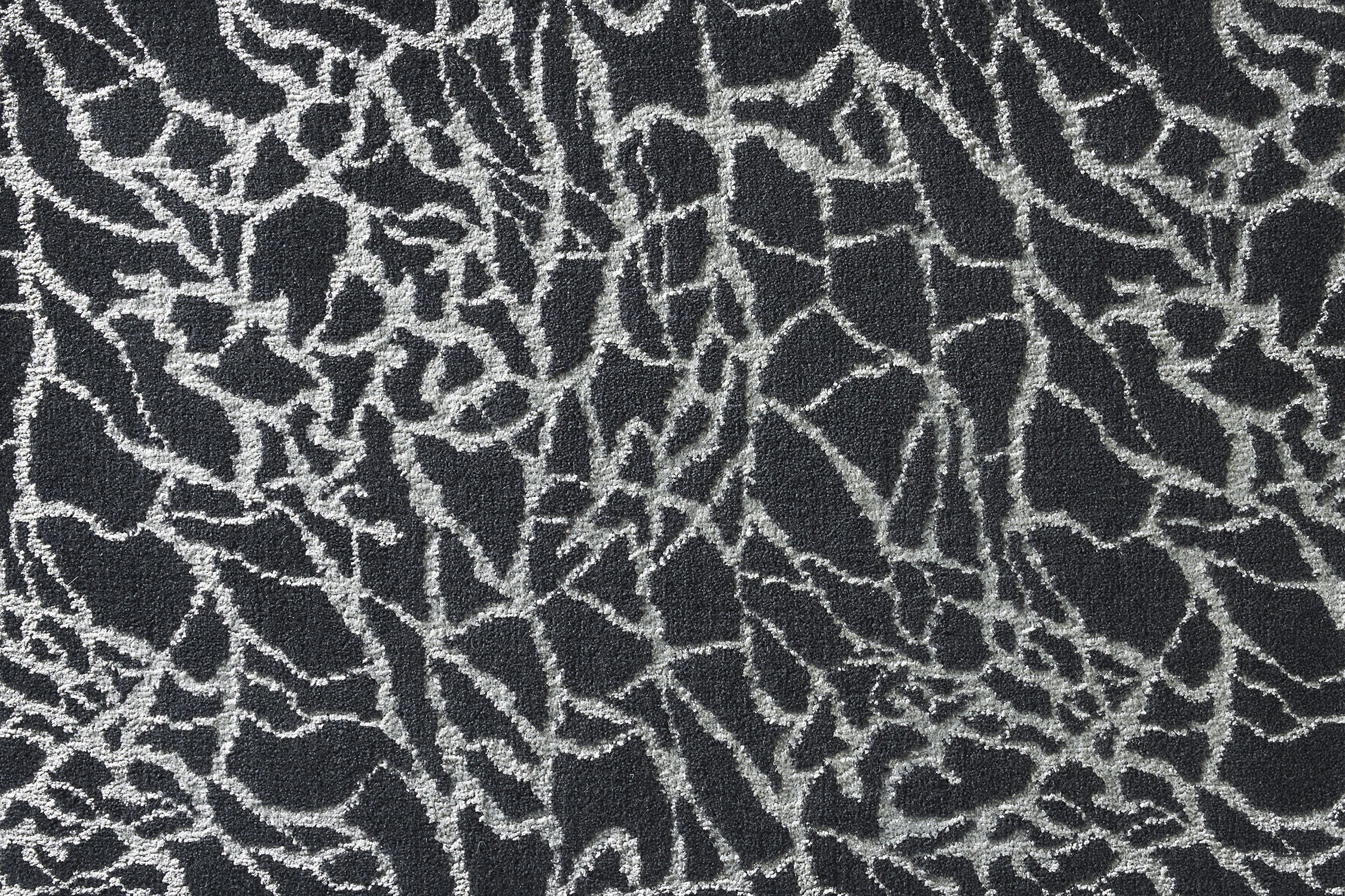 color-rug1